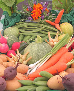 Stoffwechsel anregen Lebensmittel Gemüse