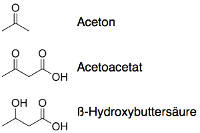 Hungerstoffwechsel Ketonkoerper